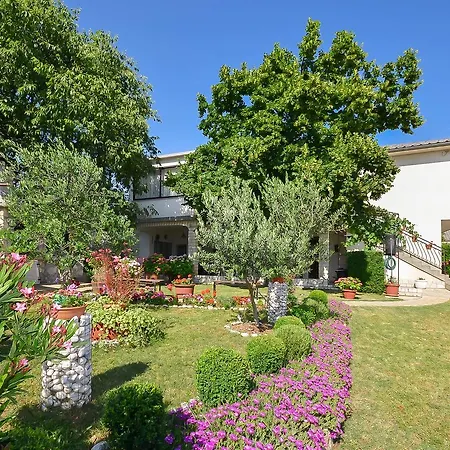 Zorka * 노비비노돌스키